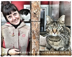 Betreuung Ihrer Katze Im Urlaub in ihrer Region Berlin Buckow - IMG 8700 min - TIERHEIM in der NÄHE - TIERPENSION - KATZENBETREUUNG - KATZENHOTEL - TIERHEIM in MEINER NÄHE - KATZENSITTER